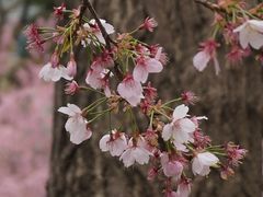 -静安雕塑公园