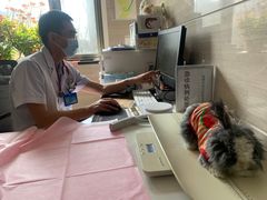 -北京观赏动物医院·24小时大型综合·猫专科·异宠专科