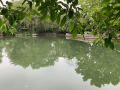-荔枝公园(福田区)