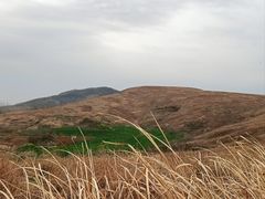 -恋山坝上草原