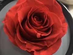 -ROSEONLY诺誓(国际广场购物中心店)