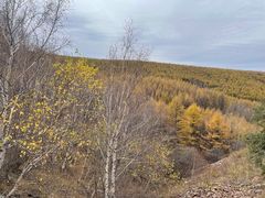 -塞罕坝国家级自然保护区