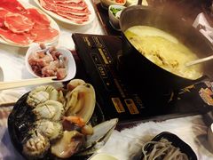 -鲜入围煮花胶鸡海鲜火锅