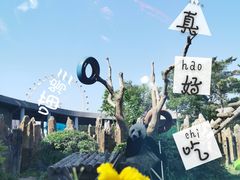 -大连森林动物园