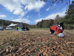 -南京市无想山景区