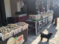 -五凤溪古镇