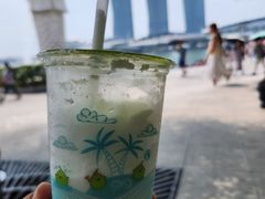 -鱼尾狮公园