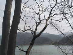 -羚羊峡古栈道森林公园