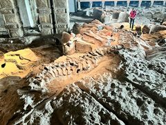 -自贡恐龙博物馆