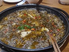-南山渔美蛙鱼·老鸭汤·火锅(成都大邑店)