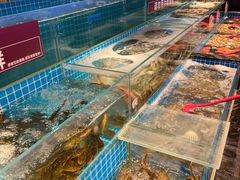 -焰江山海鲜牛排烤肉自助(锦华万达二星店)