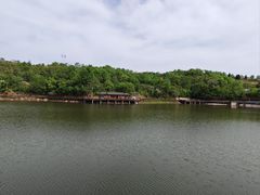 -中国西峡恐龙遗迹园