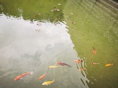 -中国宣纸文化园