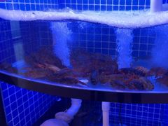 -七欣天香辣蟹火锅(闵行浦江欢乐颂店)