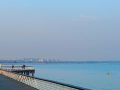 -贡湖湾湿地公园