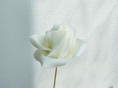 -美斯烘焙培训学院•蛋糕•面包•咖啡(宝安校区)