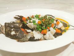 青花椒苏鼠斑-隆聚·时令海鲜(洪兴店)