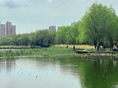 -前关湿地公园