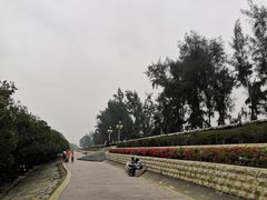 -宝安西湾红树林湿地公园