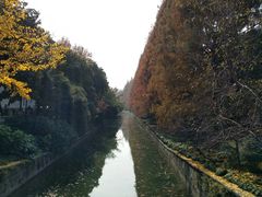 -猫的天空之城概念书店(杭州南宋御街店)