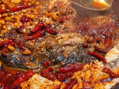 -探鱼·鲜青椒爽麻烤鱼(苏宁广场店)