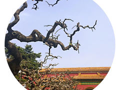 -北京市劳动人民文化宫
