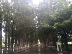 -广东外语外贸大学(白云山校区)