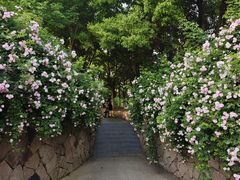 -滆湖低碳生态公园