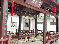 -江心屿景区