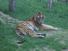 -北京野生动物园