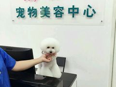 -鑫艺宠物美容培训学校