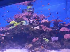 -多彩贵州城极地海洋世界