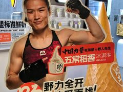 -野人先生现做冰淇淋(北京悠唐购物中心店)