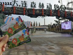 -大连森林动物园