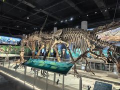 -国家自然博物馆