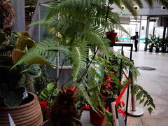 -北京植物园-展览温室