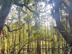 -金山植物公园