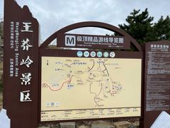 -王莽岭风景区