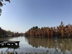 -上海长兴岛郊野公园