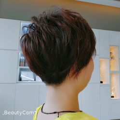 -爱维丽