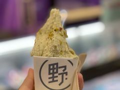 -野人先生现做冰淇淋(西安赛格店)