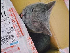 -方快-照相馆(莘庄沁春路店)