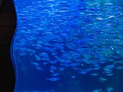 -太平洋海底世界