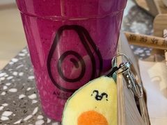 -油梨树AVOCADO TREE(嘉里中心店)