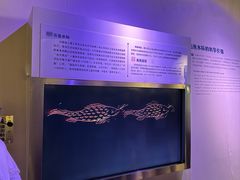 -白鹤梁水下博物馆