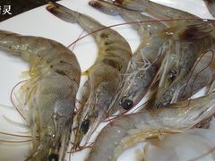 虾-御花园·粤菜·海鲜火锅(中山公园店)