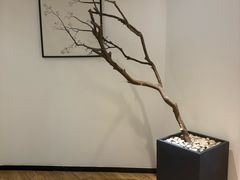 -麦子MaiMassage(打浦桥店)