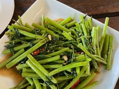 -Green Tree Rest. & Pub