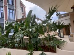-悦见花开·花园里的火锅·露营·下午茶