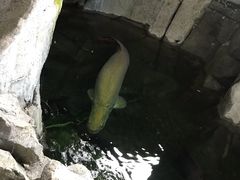 -青青世界
